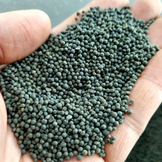 Phân nền gốm đen thủy sinh – Hạt bền, không tan, giữ nước trong, hạn chế rêu