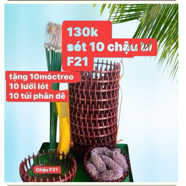 combo 10 chậu bí trồng lan F21-10 móc 70cm-10 lưới lót chậu -10 túi phân dê bón gốc (40 món)