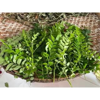 (Bình Dương chỉ ship gần) Lá cà ri tươi set 200g