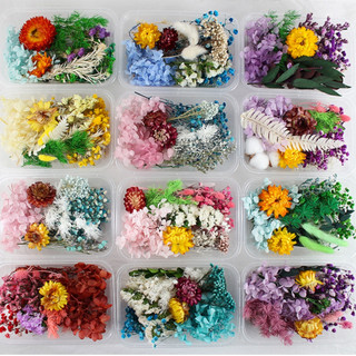  Hoa Khô Mix Tổng Hợp Nguyên Liệu Trang Trí Làm Handmade Resin Nến Thơm 