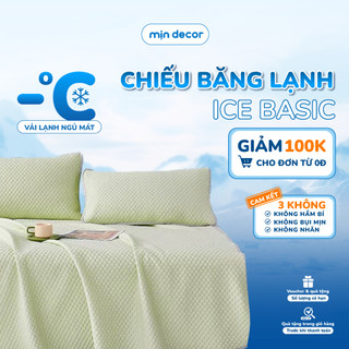  Chiếu Điều Hoà Băng Lạnh Phiên Bản 2025 Mịn Decor Chiếu Băng Lạnh Ngủ Mát Chống Nóng Lưng 