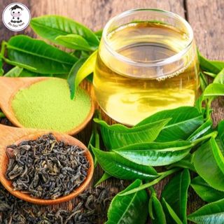 Trà Sâm Dứa Ngọc Thiện Trang