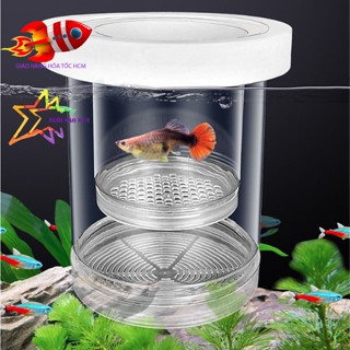Lồng Tách Đẻ Dạng Nổi Acrylic Cao Cấp - Lồng Ấp Cá Bảy Màu, Betta, Guppy - Dưỡng Cá Bệnh, Cách Ly Cá- lòng đẻ cá 7 màu