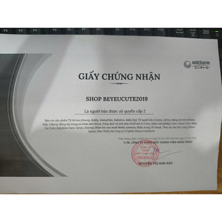 BVS DIANA MAMA CHO MẸ SAU SINH (12 MIẾNG)