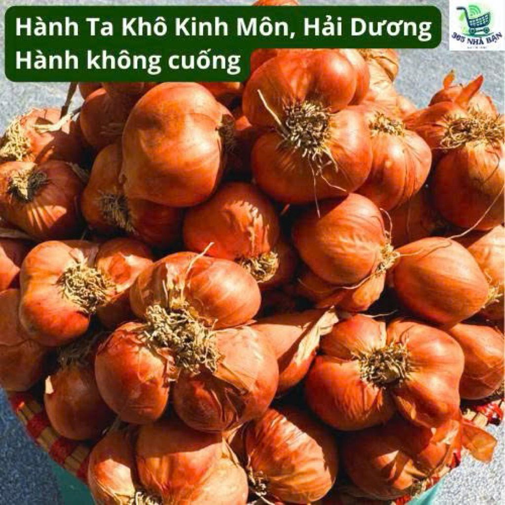 Hành ta không cuống củ mẩy, mỏng vỏ, thơm