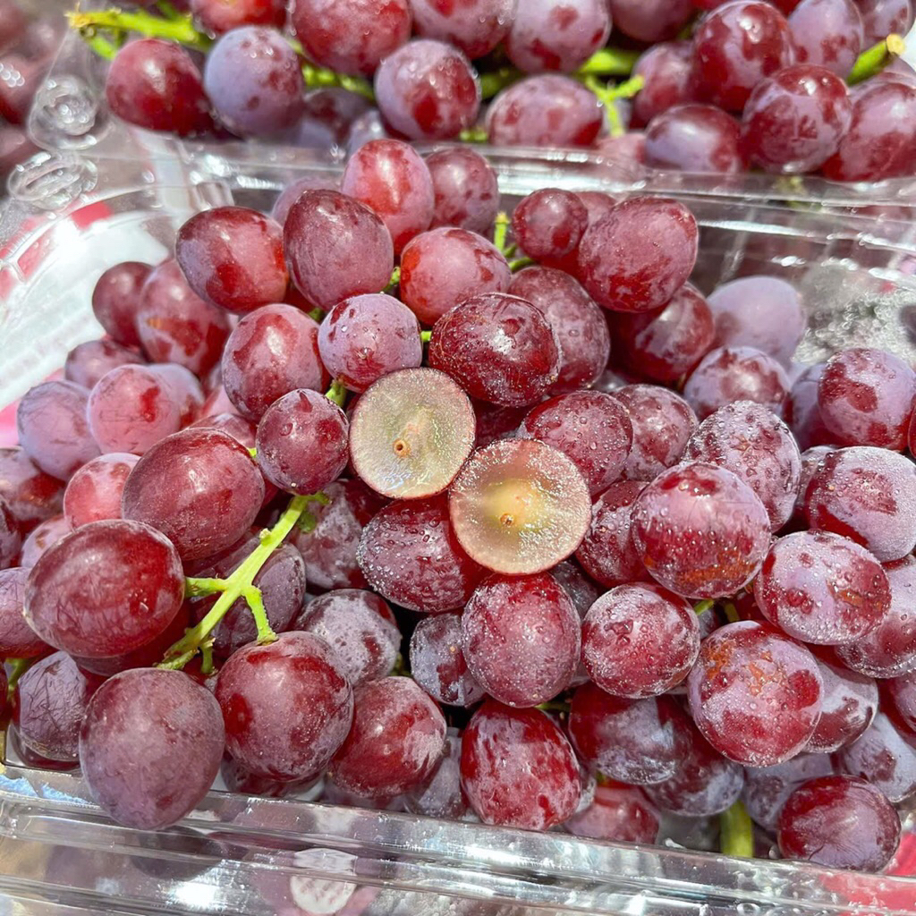 Cây giông nho không hạt royalty