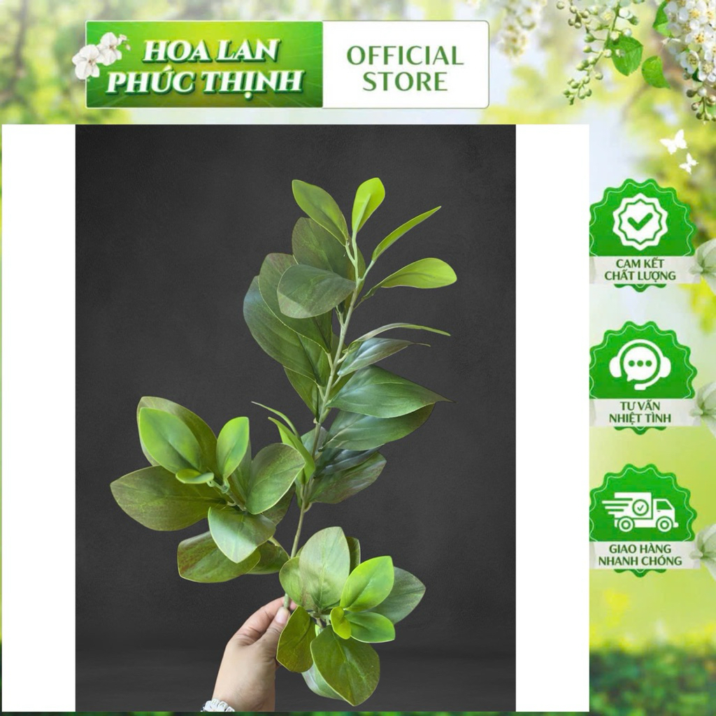 Cành lá derco- cành lá chanh 3 nhánh hàng loại 1 cao cấp (70cm)- cắm bình , điểm chậu hoa, trang trí tổ chức sự kiện