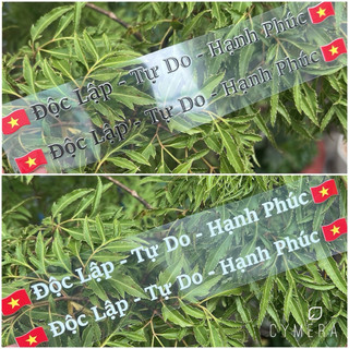 Tem 🇻🇳độc lập - tự do - hạnh - phúc🇻🇳 ,dán xe máy, xe điện , siêu mỏng siêu bám dính