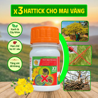PETS X3 Phân bón lá cho Mai Vàng – Dưỡng lá xanh, cây khỏe, phát triển mạnh