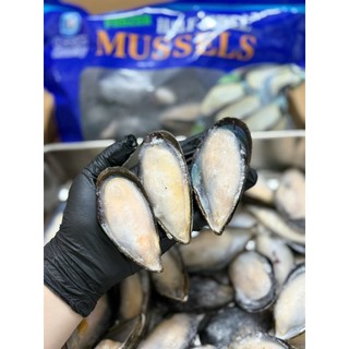 HOẢ TỐC - VẸM ĐEN NỬA MẢNH