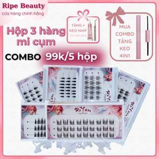 Lông Mi Giả Tách Sợi Trang Điểm Tự Nhiên Anime RiYan Kèm Keo Nhíp