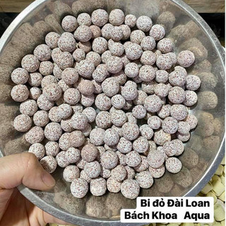 Sứ bi Đài Loan lọc nước bể cá
