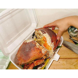 Cua Nâu Gạch vừa 7/10 (ít gạch tiết kiệm hơn)