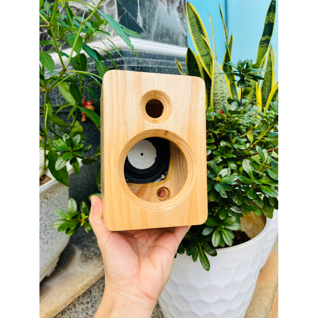 Vỏ box loa cho cụm mỏng eastech hk, loa 3 inch, có khoét theo yêu cầu