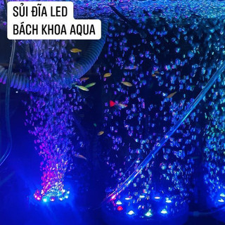 Sủi đĩa kết hợp LED Hikari – Thiết bị sủi tạo bọt mịn, đèn đổi màu trang trí bể cá cảnh