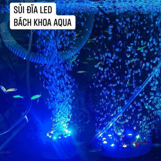 Sủi đĩa kết hợp LED Hikari – Thiết bị sủi tạo bọt mịn, đèn đổi màu trang trí bể cá cảnh