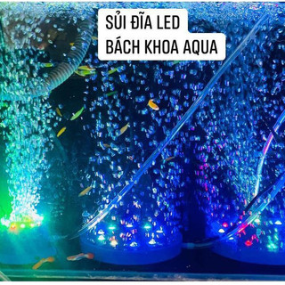 Sủi đĩa kết hợp LED Hikari – Thiết bị sủi tạo bọt mịn, đèn đổi màu trang trí bể cá cảnh