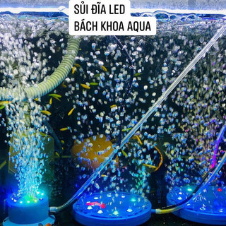 Sủi đĩa kết hợp LED Hikari – Thiết bị sủi tạo bọt mịn, đèn đổi màu trang trí bể cá cảnh