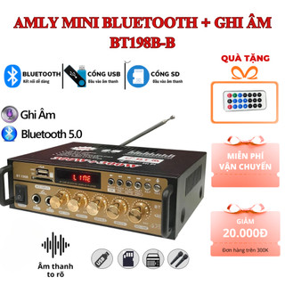 Amly Mini Bluetooth + Ghi âm BT198B-B Có Echo – Nghe nhạc, Karaoke, Kết nối Bluetooth 5.0