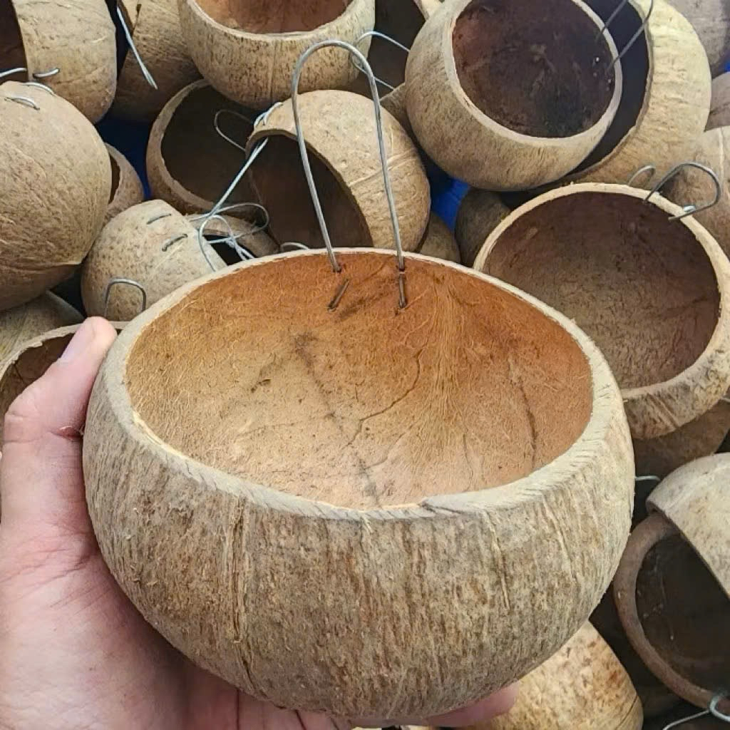 Gáo Dừa Cho Gà Ăn, Gáo Dừa Để Nước Uống Cho Gia Cầm - Phụ Kiện Gà [GÁO DỪA]