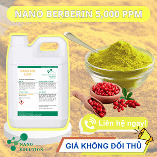 NANO BERBERIN 5,000PPM - Can 5 Lít - Hấp thu nhanh, Giải pháp hiệu quả cho đường ruột cho thủy sản.