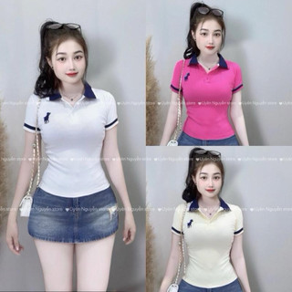 A10 - ( MỞ BÁN )Áo thun polo vải cotton xịn phối cổ bo dệt thêu ngựa , phom basic đẹp tôn dáng