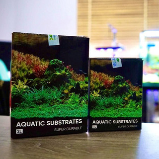 Cốt nền thuỷ sinh - Vũ Aqua