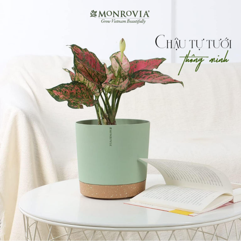 Chậu tự tưới thông minh Nhật Bản MONROVIA hình trụ tròn (A606)