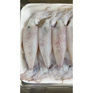 HỎA TỐC - MỰC TRỨNG BẦU - KHAY 1KG