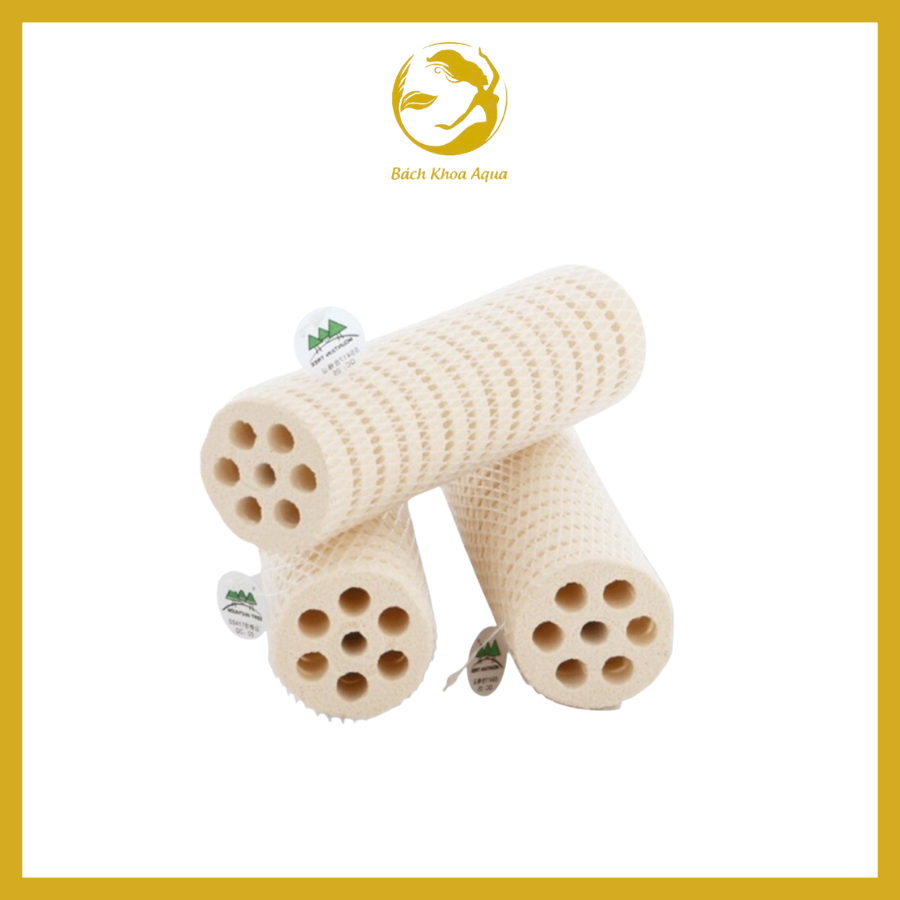 Sứ lọc củ sen Mountain Tree - vật liệu lọc thế hệ mới cho bể thủy sinh