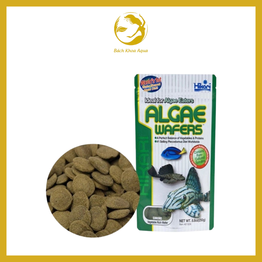 Thức ăn tỳ bà Hikari Algae Wafers