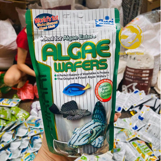 Thức ăn tỳ bà Hikari Algae Wafers