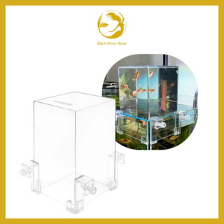 Hồ cá úp ngược Acrylic trong suốt tạo hiệu ứng cho bể cá
