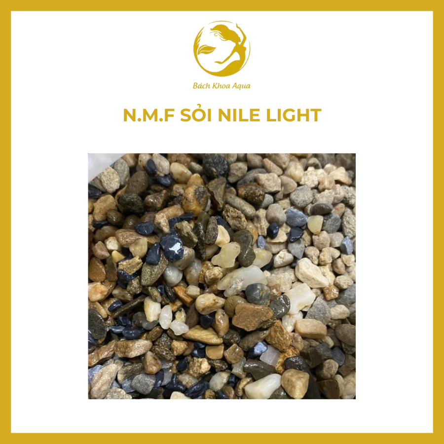 Sỏi Nile Light N.M.F – Chiết 0.5kg/1kg, trang trí nền bể cá thủy sinh tự nhiên