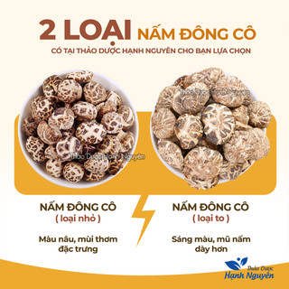 Nấm đông cô Nhật Bản 100g, tai nấm to, nấu canh dưỡng sinh, pha trà, tốt cho sức khỏe