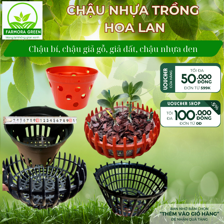 20 Chậu giả đất, chậu nhựa giả gỗ, chậu bí trồng hoa lan nhiều đa dạng, móc treo chậu trồng hoa lan 