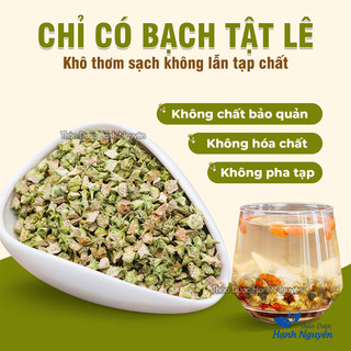 Bạch tật lê khô 100g, đã sao vàng thơm, sạch - Thảo Dược Hạnh Nguyên