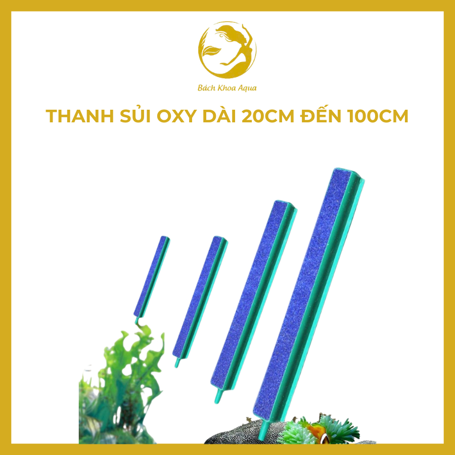 Thanh sủi Oxy dài 20/30/40/50/60cm đa dạng kích thước, phù hợp với nhiều bể cá