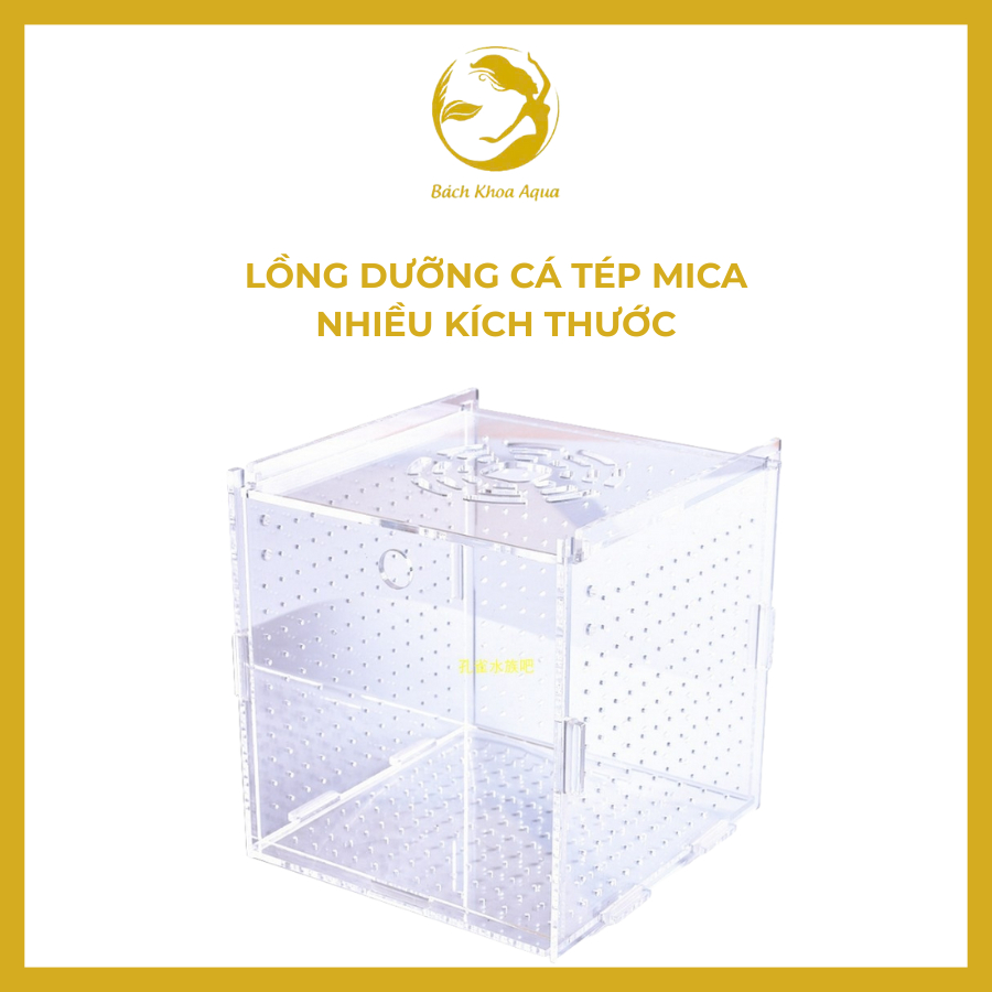 Lồng dưỡng cá cảnh mica, nhiều kích thước - Trong suốt, dễ quan sát, an toàn cho cá & tép