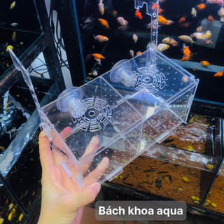 Lồng dưỡng cá cảnh mica, nhiều kích thước - Trong suốt, dễ quan sát, an toàn cho cá & tép