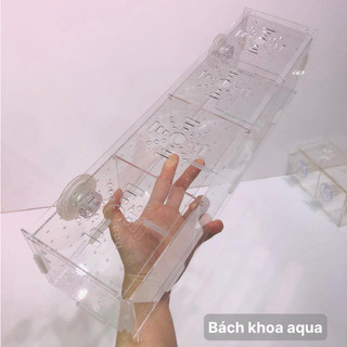 Lồng dưỡng cá cảnh mica, nhiều kích thước - Trong suốt, dễ quan sát, an toàn cho cá & tép