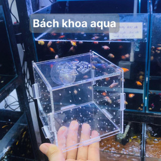 Lồng dưỡng cá cảnh mica, nhiều kích thước - Trong suốt, dễ quan sát, an toàn cho cá & tép