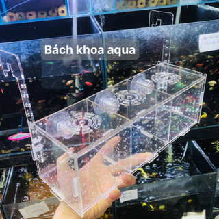 Lồng dưỡng cá cảnh mica, nhiều kích thước - Trong suốt, dễ quan sát, an toàn cho cá & tép