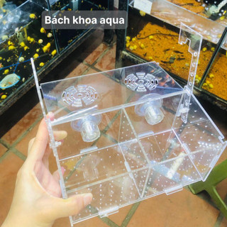 Lồng dưỡng cá cảnh mica, nhiều kích thước - Trong suốt, dễ quan sát, an toàn cho cá & tép
