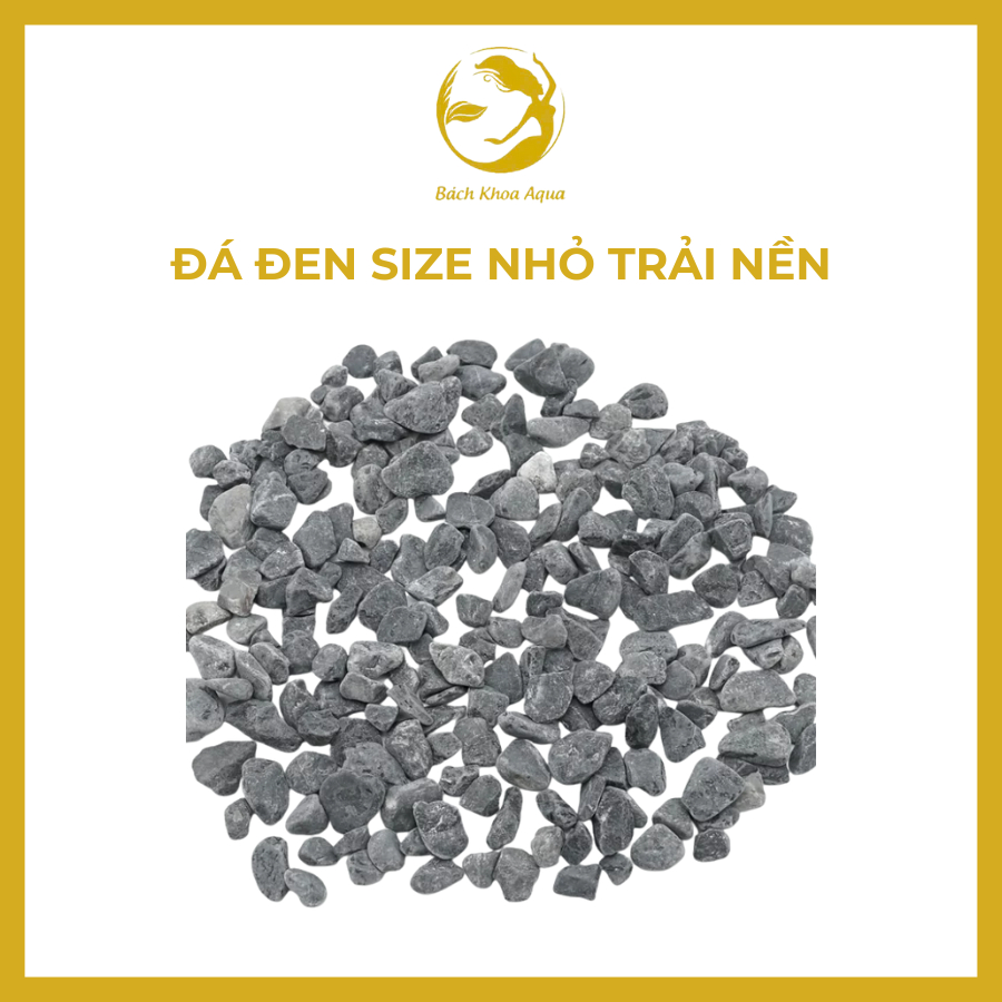 Đá đen size nhỏ trải nền hồ cá lẻ 0,5kg/1kg