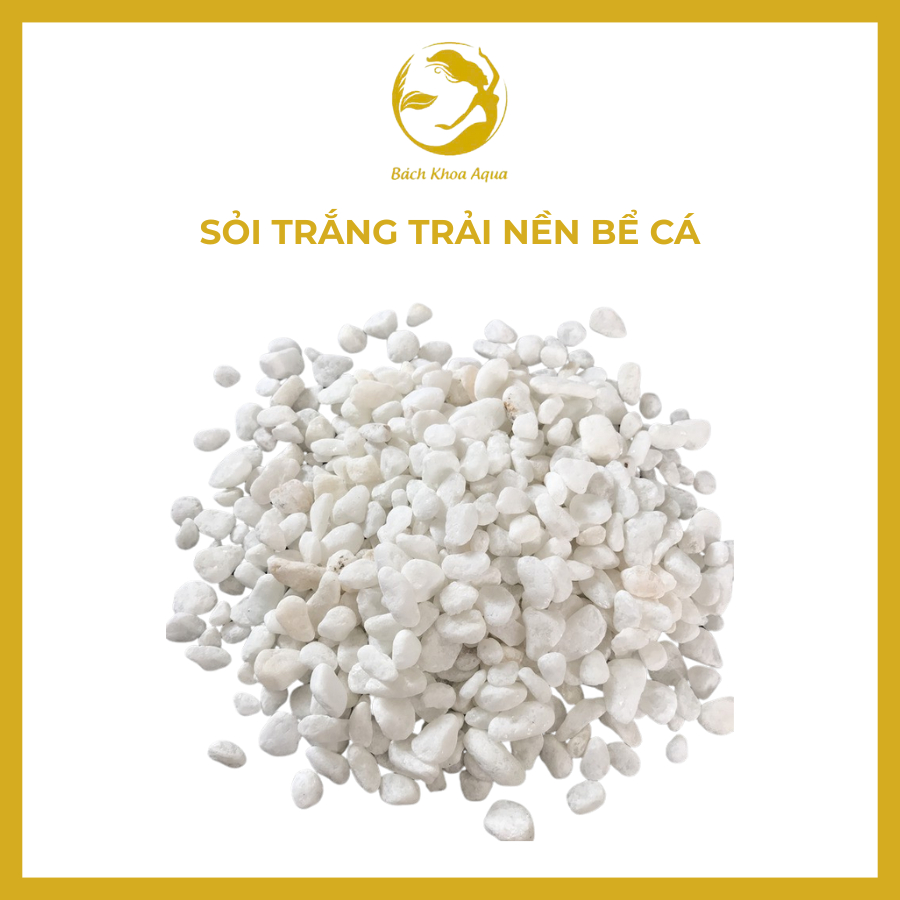Sỏi trắng trải nền bể cá 1kg