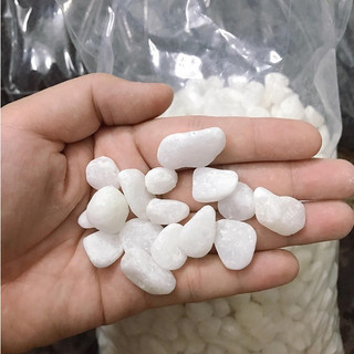 Sỏi trắng trải nền bể cá 1kg