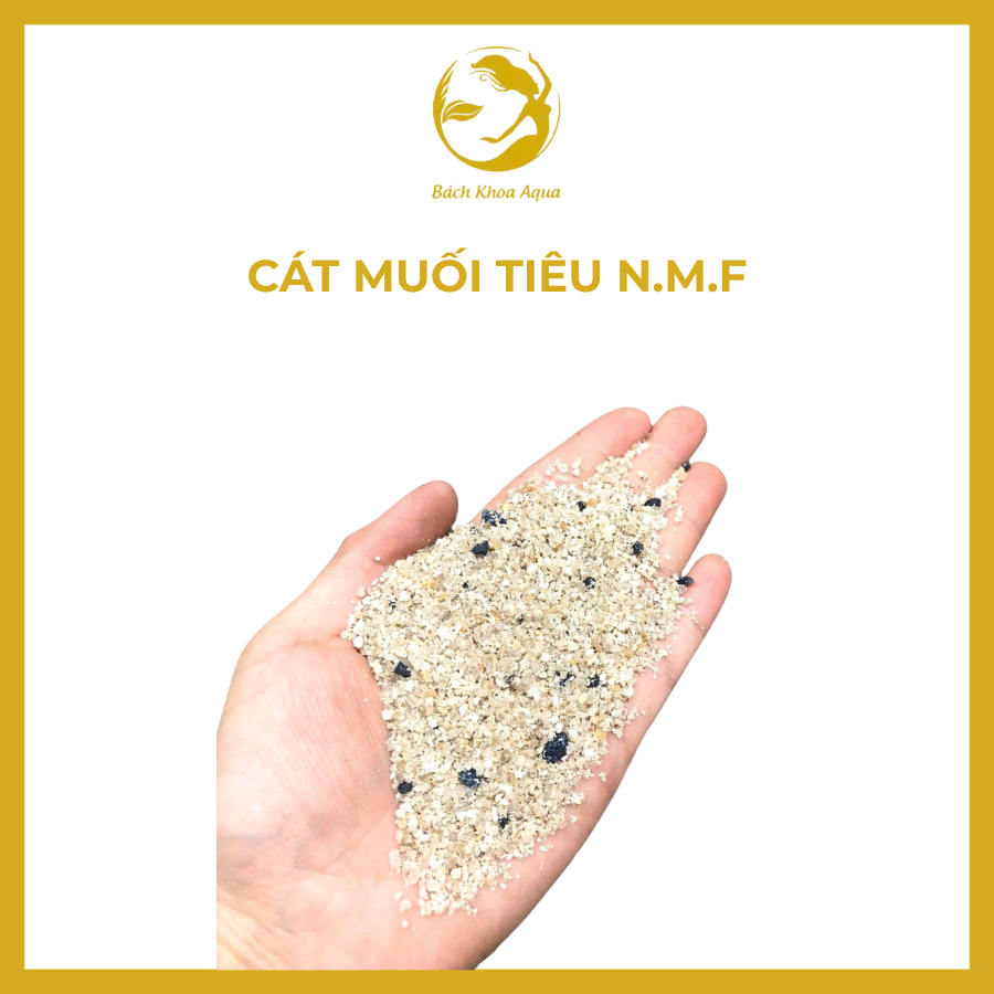 Cát muối tiêu N.M.F – Chiết lẻ 0.5kg/1kg, trang trí nền đẹp, không ảnh hưởng nước
