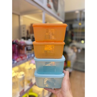 Bộ hộp trữ đông 650ml màu sắc rainbow Tupperware, chính hãng
