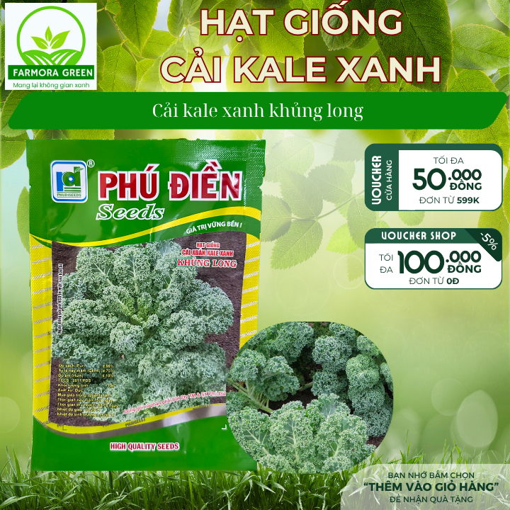 Hạt giống cải Kale xanh, cải kale đỏ, cải kale khủng long hàng chất lượng cao - có sẵn